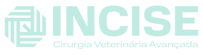 LOGO VERDE INCISE